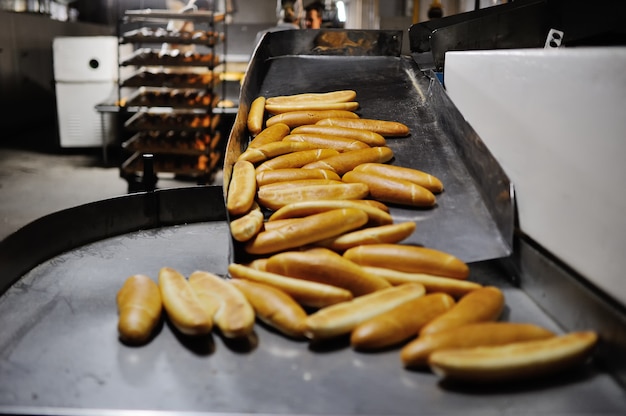 Frische Laibe auf der Hintergrundbäckerei