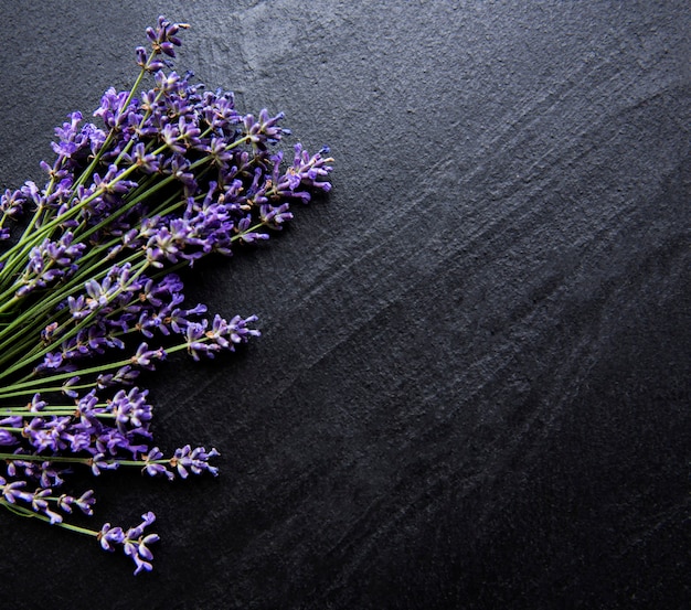 Frische Lavendelblüten