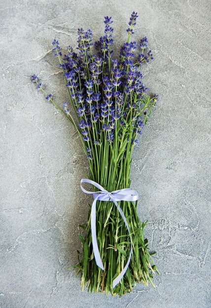 Frische Lavendelblüten