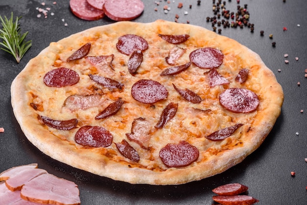 Frische leckere Pizza aus einem Kaminofen mit vier Fleisch- und Wurstsorten. Mediterrane Küche