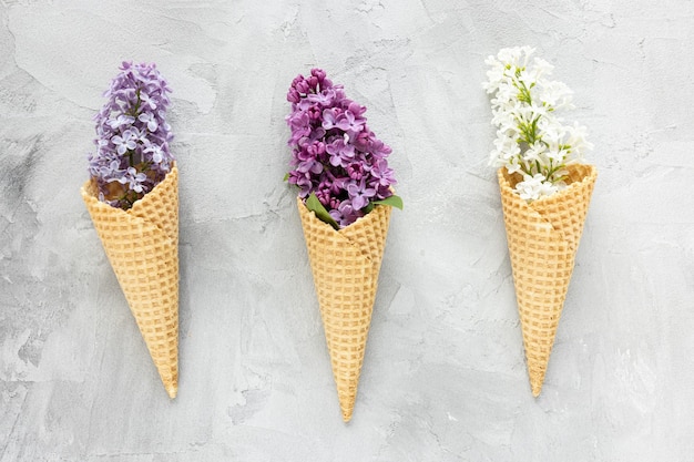 Frische lila Blumen in der Eistüte Abstrakter Frühlingshintergrund