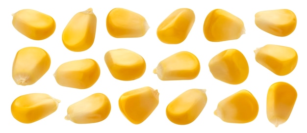 Frische Maissamen isoliert auf weißem Hintergrund mit Beschneidungspfad, Nahaufnahme von rohen gelben Maiskörnern, Sammlung, Makro
