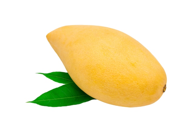 Frische Mango auf Weiß