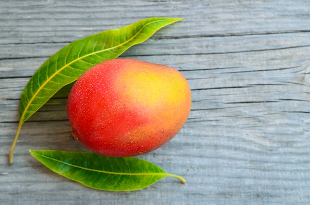 Frische Mangofrucht und Mangobaumblätter auf Holz