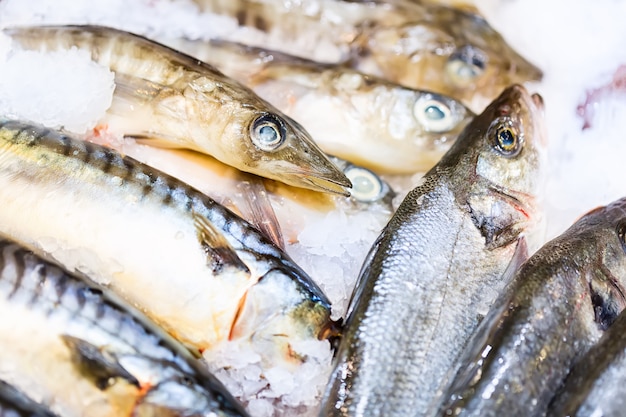 Frische Meeresfrüchte. Fischen Sie auf Eis am traditionellen Meeresfrüchterestaurant