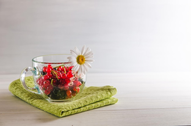 Frische mehrfarbige Johannisbeeren in einer Tasse auf weißem Hintergrund mit Kopierraum