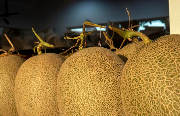 Frische Melonen oder Kantalupen auf dem traditionellen Markt in Yogyakarta Indonesien