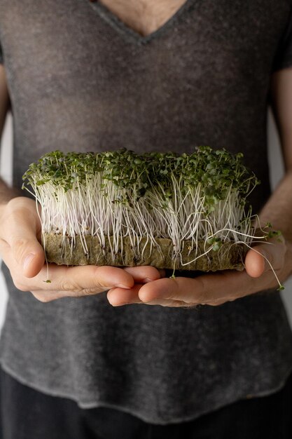 Frische Microgreens in männlichen Händen auf hellem Hintergrund