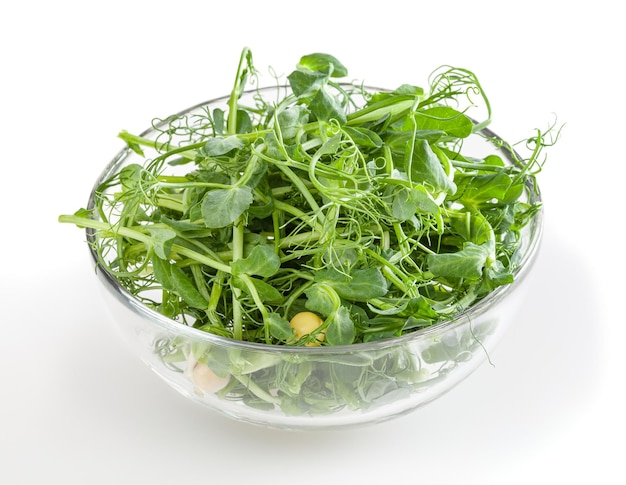 Frische Microgreens von Erbsen in Glasschüssel isoliert auf weißem Hintergrund