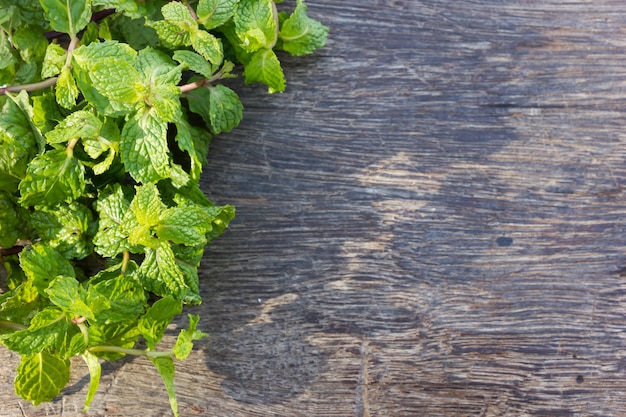 Foto frische minze auf holz.