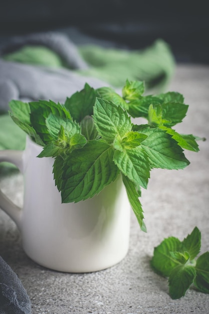 Foto frische minze in der weißen bechernahaufnahme auf einem grauen hintergrund