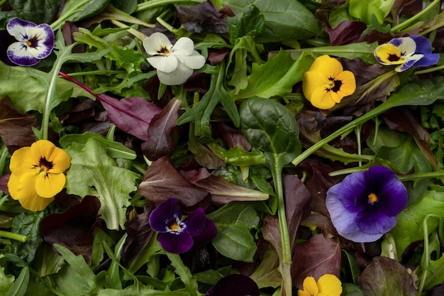 Frische Mischung aus Salaten mit essbaren Blumen