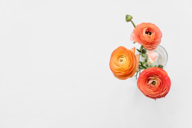 Frische orange Blumen auf Stielen im Vase