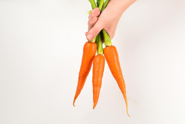 Frische orange Karotte in den Händen der Frau auf einem weißen Hintergrund.