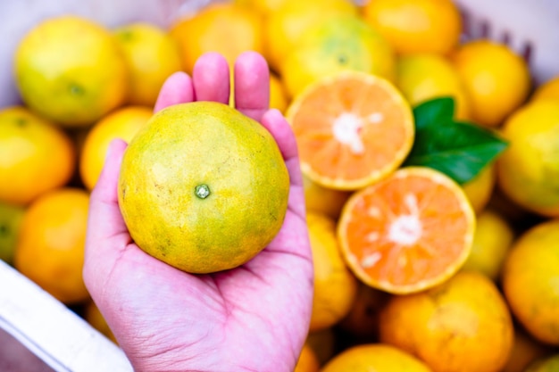 Frische Orangenfrüchte mit Blättern als Hintergrund