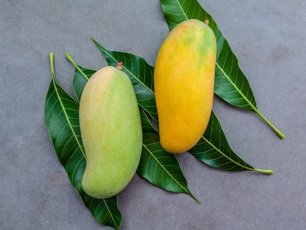 Frische organische Mangos gründeten auf dunklem Steinhintergrund.