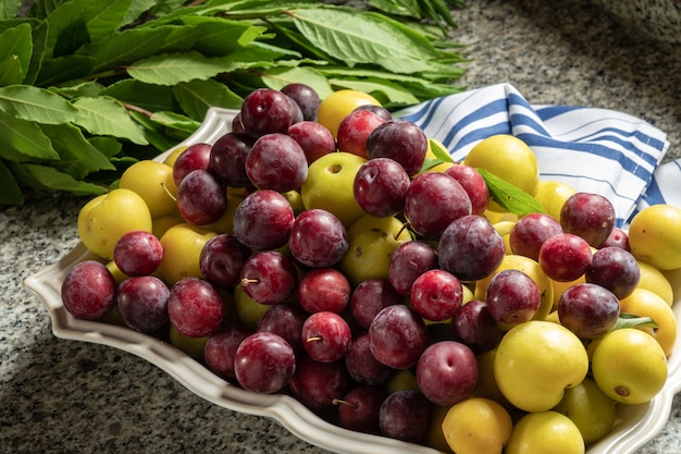 Frische organische rote Pflaumen in der Schüssel