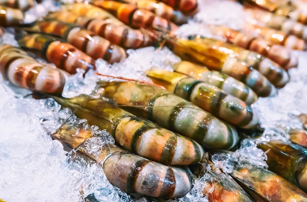 Frische Penaeus-monodon-Riesentigergarnele oder asiatische Tigergarnele auf dem Straßenmarkt in Thailand