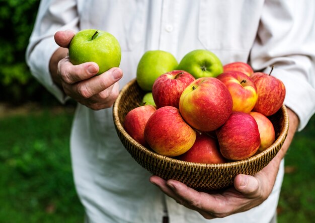 Frische Äpfel