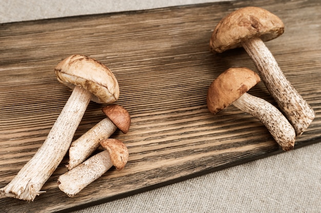 Frische Pilze aus der Nähe des Waldes, Schorfstiel mit roter Kappe auf dem Tisch. Big und Small Orange Cap Boletus. Gesunde vegetarische Mahlzeit. Flach liegen.