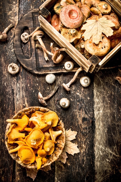 Frische Pilze, Honigagar und Pfifferlinge. Auf einem hölzernen Hintergrund.