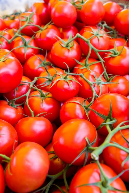 Frische Produkte auf dem Bauernmarkt im Frühsommer.