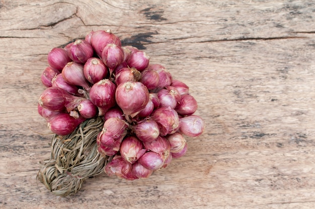 Frische purpurrote Schalotten