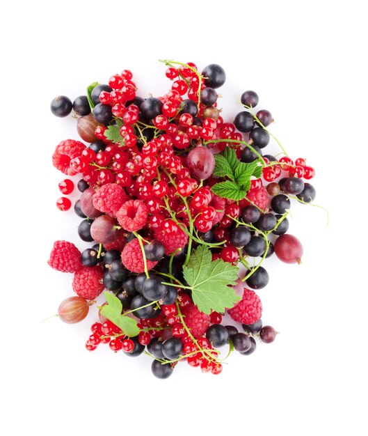 Frische reife Beeren