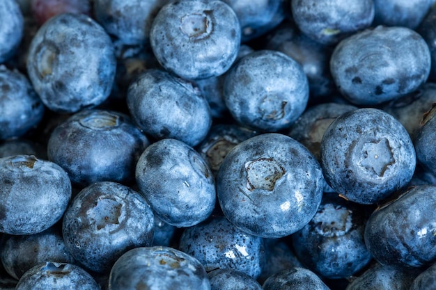 Frische reife Blaubeeren hautnah