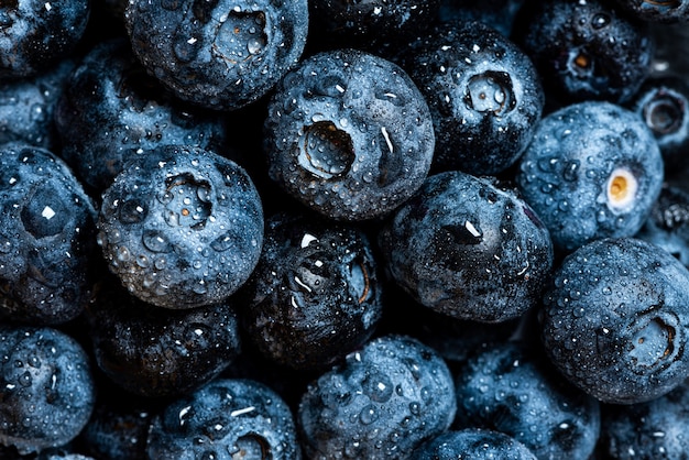 Foto frische reife blaubeeren mit wassertropfen nahaufnahme blaubeeren hintergrund