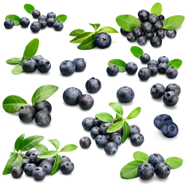 Frische reife Blaubeeren