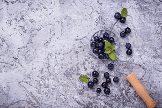 Frische reife Blaubeeren