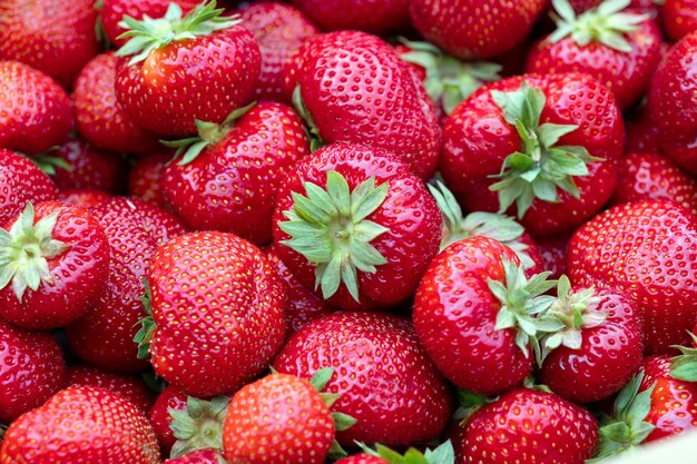 Frische reife Erdbeeren