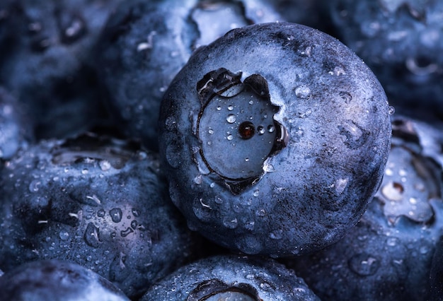 Frische reife Heidelbeeren mit Tautropfen Beerenhintergrund Makrofoto