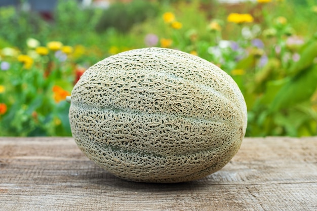 Frische reife Melone auf Holztisch im Garten