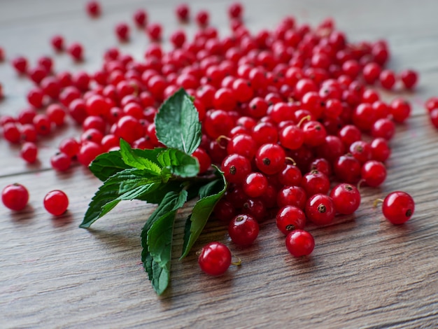 Frische reife rote Johannisbeere auf hölzernem Hintergrund, Nahaufnahme. Öko-Lebensmittel-Konzept. Natürliche Vitamine. GVO frei