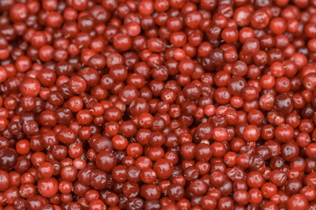 Frische reife rote Preiselbeeren