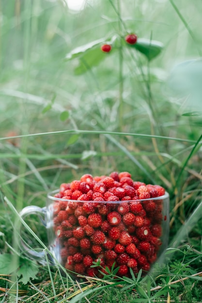 Foto frische reife saftige, geschälte kleine walderdbeeren in einem großen transparenten runden glasbecher, der an einem sonnigen tag auf einer grünen graswiese steht. gesundes essen. platz kopieren. vertikal