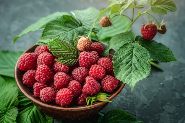 Frische reife saftige und appetitliche Himbeeren in einer Schüssel auf einem schwarzen Tisch und grünen Blättern.