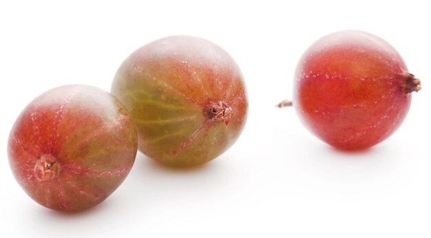 Frische reife Stachelbeere auf weißem Hintergrund