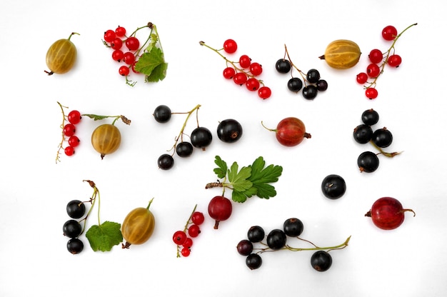 Frische reife Stachelbeeren mit roten und schwarzen Johannisbeeren