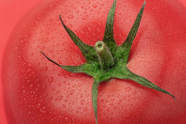 Frische reife Tomate mit Wassertröpfchennahaufnahme. Makrofotografie von frischen Tomaten