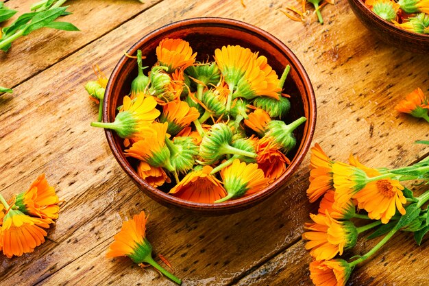 Frische Ringelblumenblüten in der Kräutermedizin. Ringelblume, Heilkräuter auf rustikalem Holzhintergrund