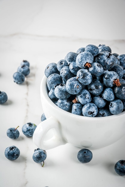 Frische rohe Biohofblaubeere in der weißen Schale auf weißer Marmorküche, copyspace