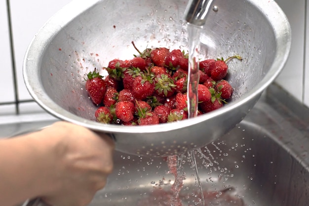 Frische rohe Erdbeeren waschen