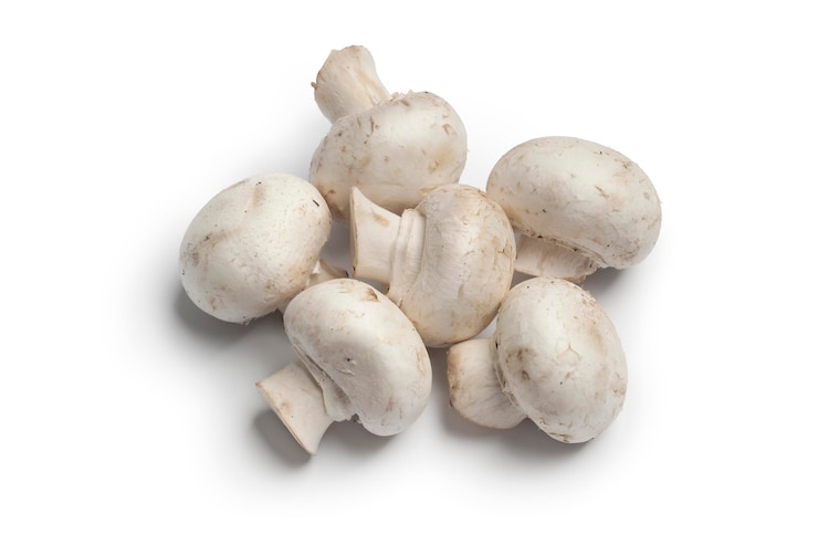 Foto frische rohe ganze champignons, isoliert auf weißem hintergrund, nahaufnahme
