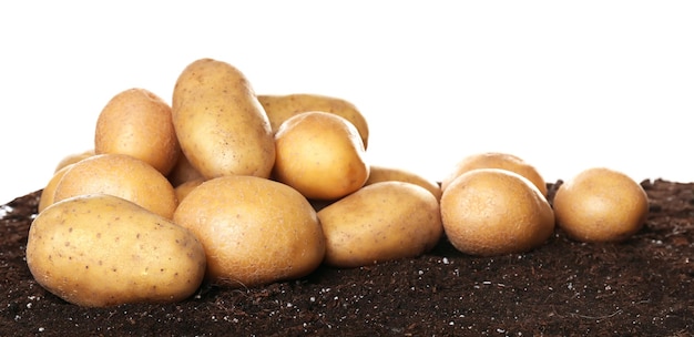 Frische rohe Kartoffeln auf dem Boden vor weißem Hintergrund