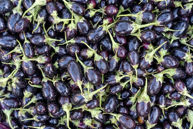 Frische rohe lila Auberginen aus biologischem Anbau auf dem Bauernmarkt in Indien