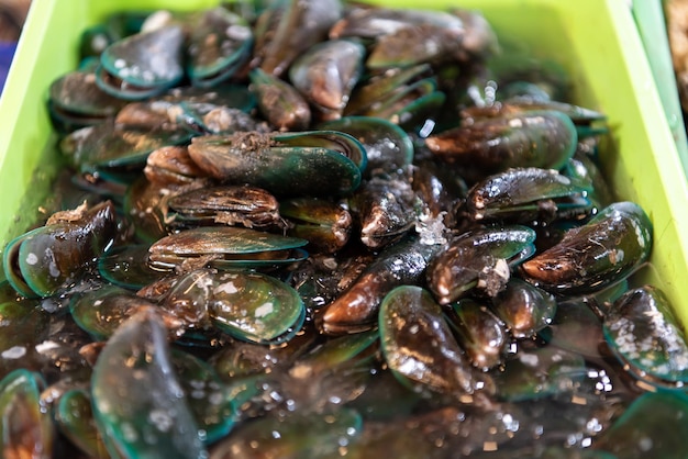 Frische rohe Muscheln auf dem Meeresfrüchtemarkt