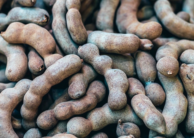 Frische rohe Tamarinde süße thailändische Tamarinde rohe Tamarinde Früchte tamar hindi tamarindus indica Heathy Anti-Aging-Frucht